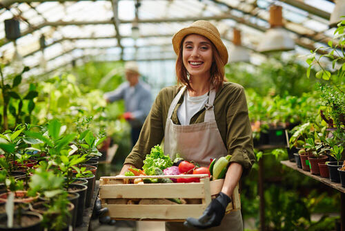  Expert-comptable à Béziers, Agriculteur